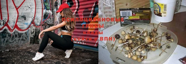 кокаин колумбия Абаза