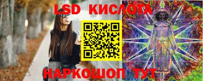 спиды Донской